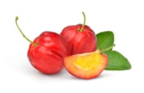 Acerola2